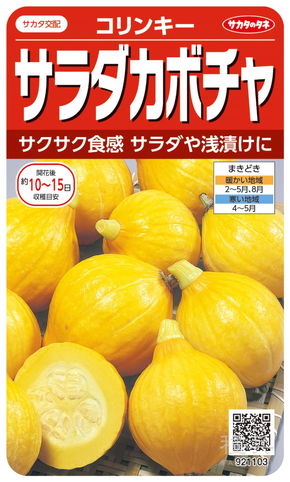 特殊カボチャ 種 『コリンキー』  サカタのタネ