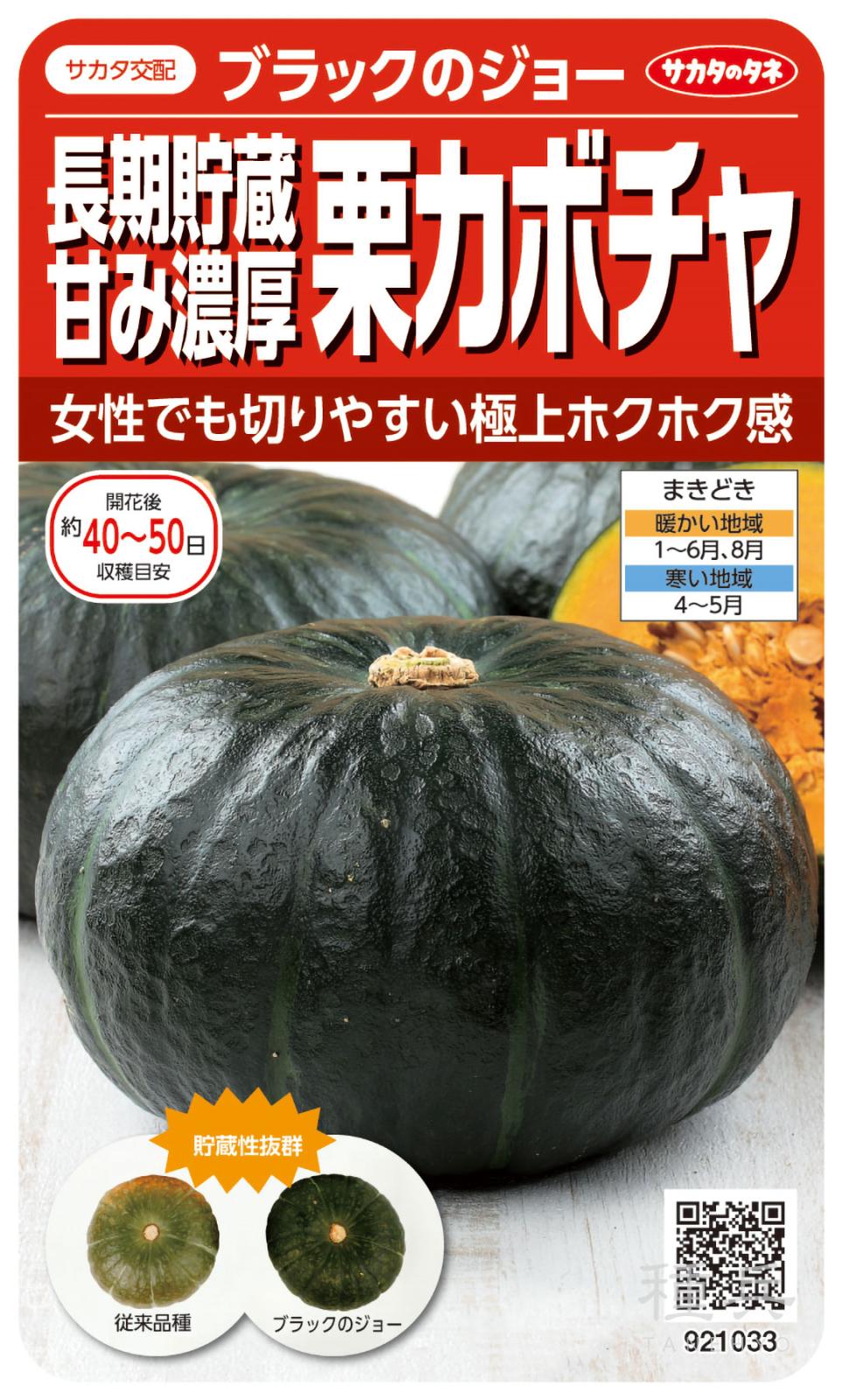 カボチャ 種 『ブラックのジョー』 サカタのタネ | たね,果菜の種