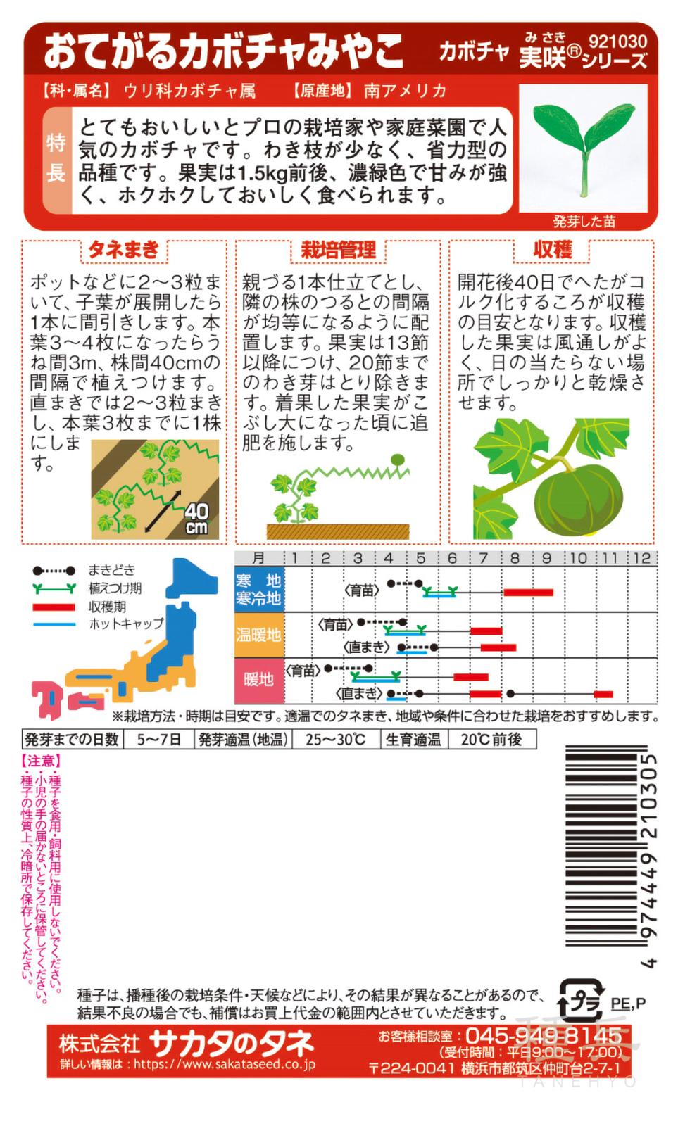 カボチャ 種 『みやこ』 サカタのタネ | たね,果菜の種,カボチャ,栗