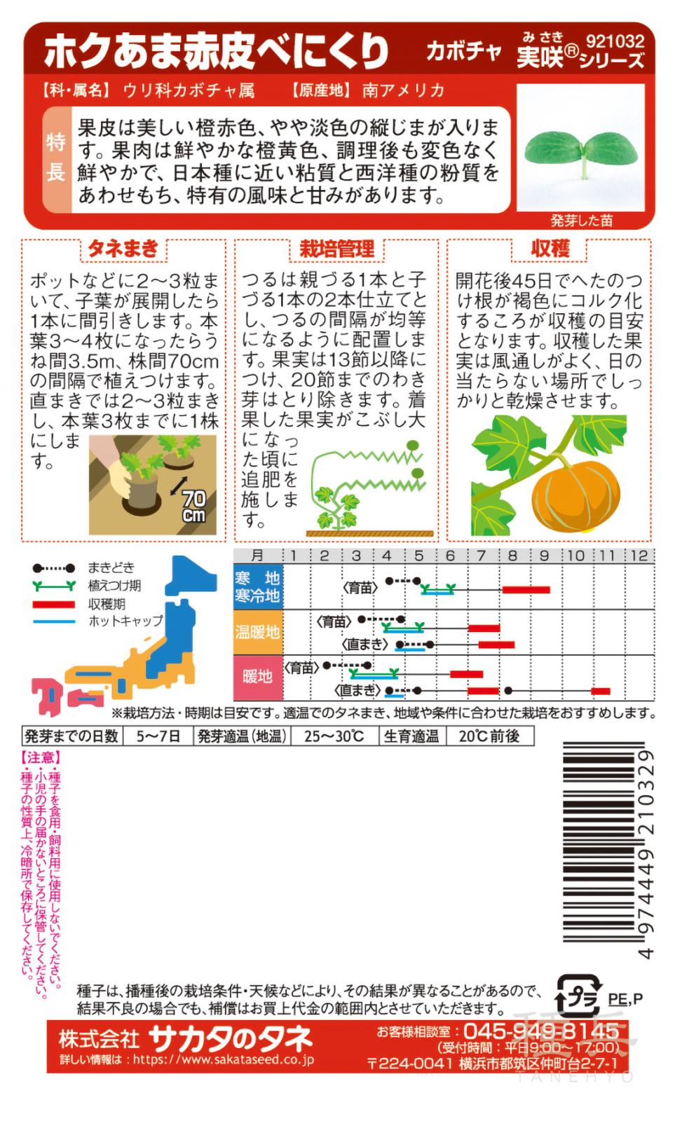 カボチャ 種 『べにくり』 サカタのタネ | たね,果菜の種,カボチャ,栗
