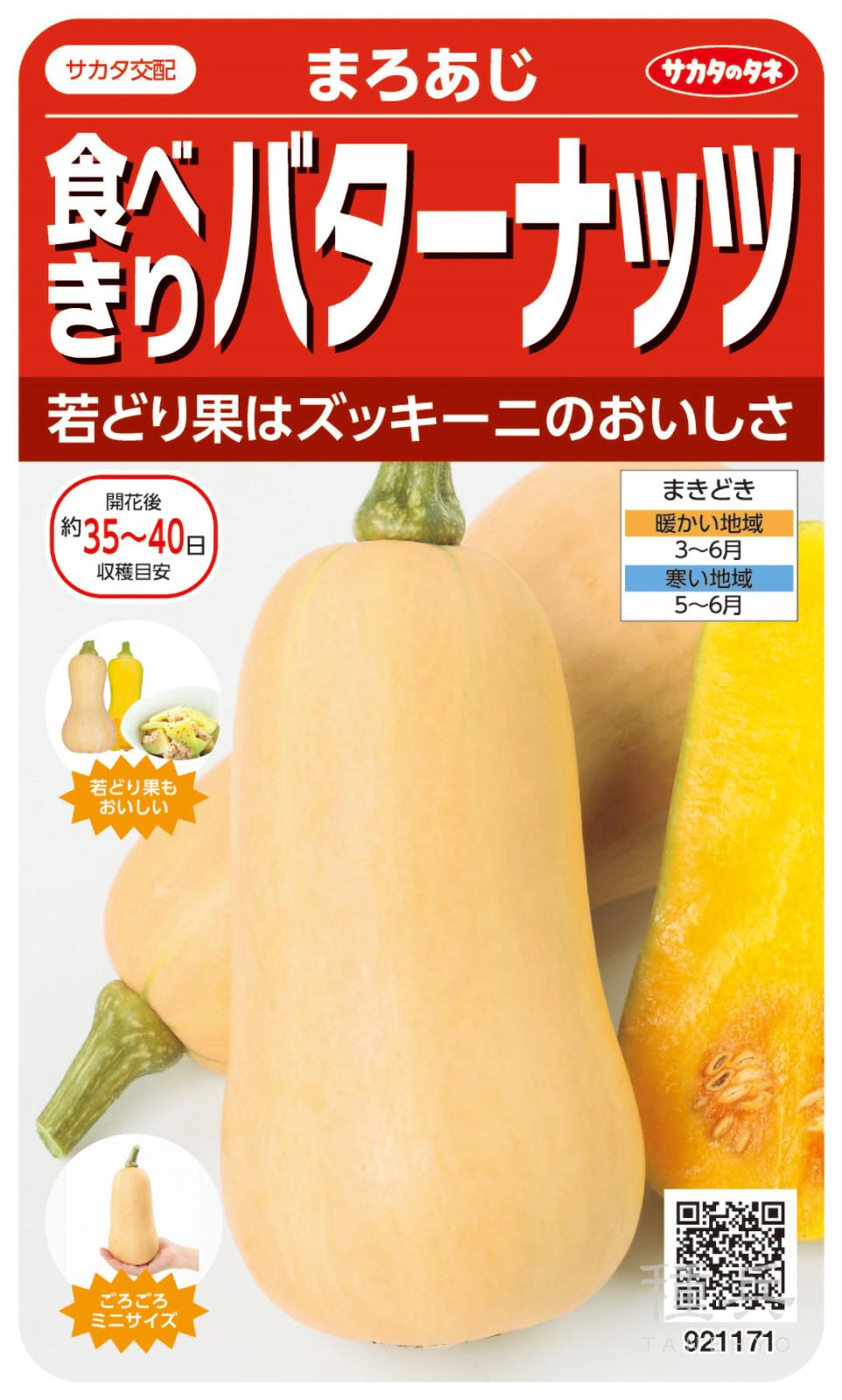 特殊カボチャ 種 『まろあじ』  サカタのタネ