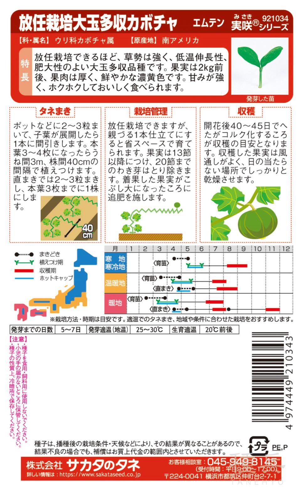 カボチャ 種 『エムテン』 サカタのタネ | たね,果菜の種,カボチャ,栗