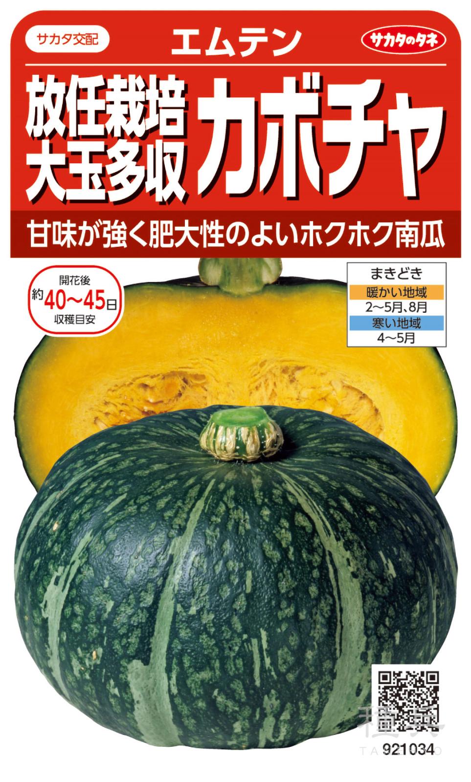 カボチャ 種 『エムテン』 サカタのタネ | たね,果菜の種,カボチャ,栗