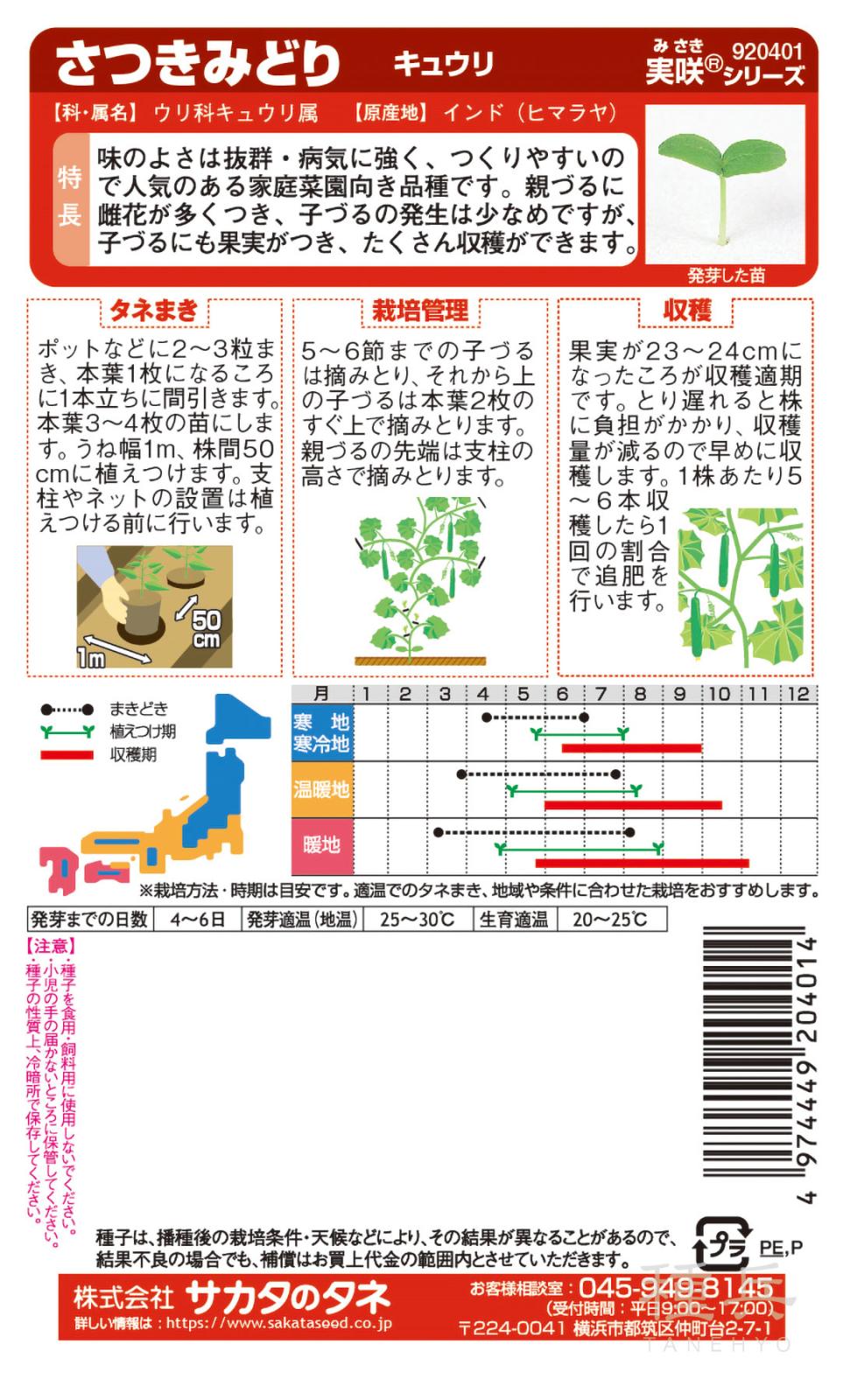 キュウリ 種 『さつきみどり』 サカタのタネ | たね,果菜の種,キュウリ