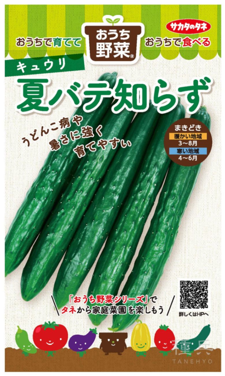 キュウリ 種 『夏バテ知らず』 サカタのタネ | たね,果菜の種,キュウリ