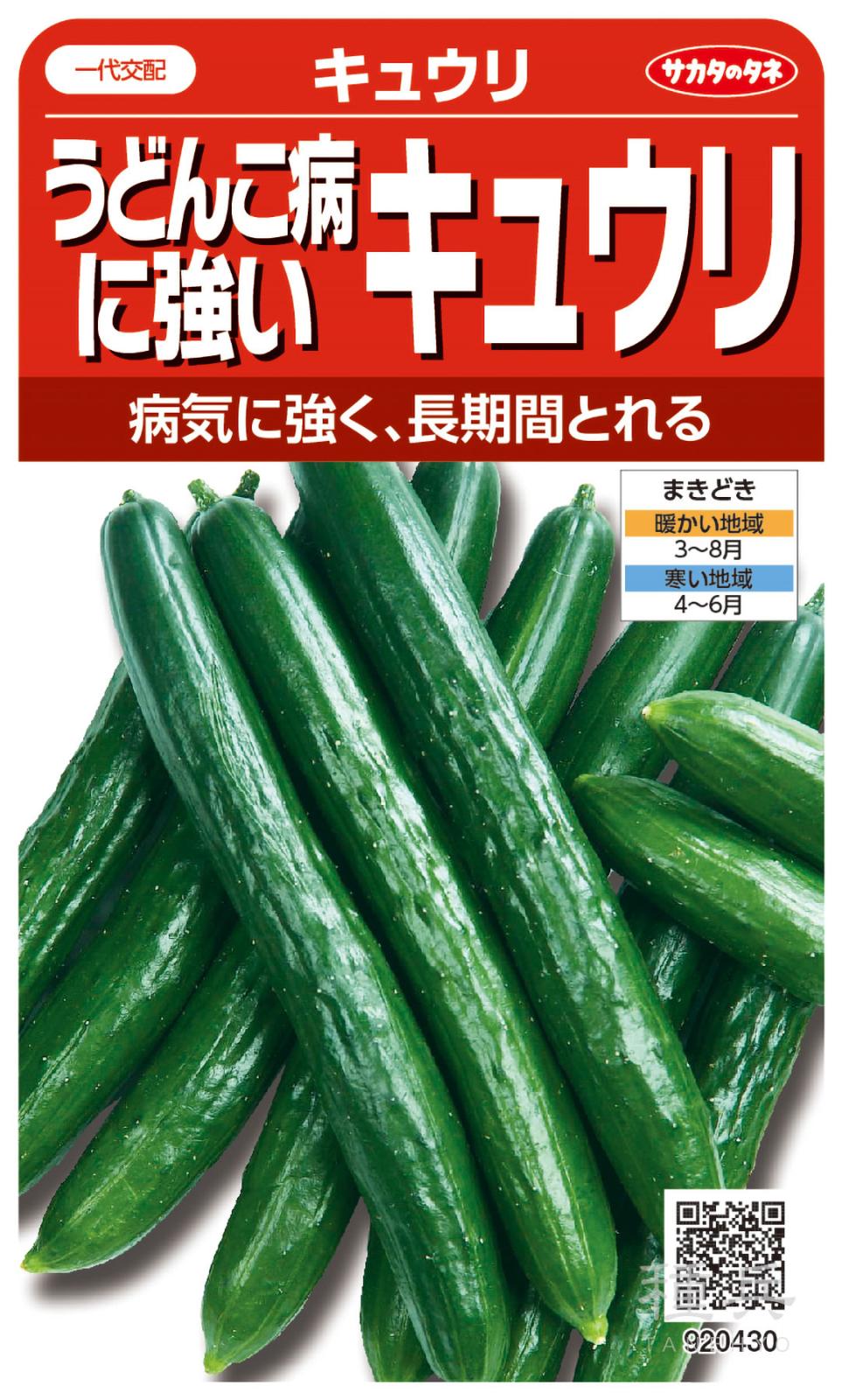 きゅうり キュウリ 種 『うどんこ病に強いキュウリ』 サカタのタネ | たね,果菜