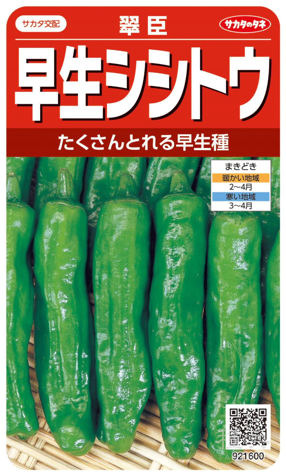 シシトウ 種 『翠臣』 サカタのタネ | たね,果菜の種,ピーマン