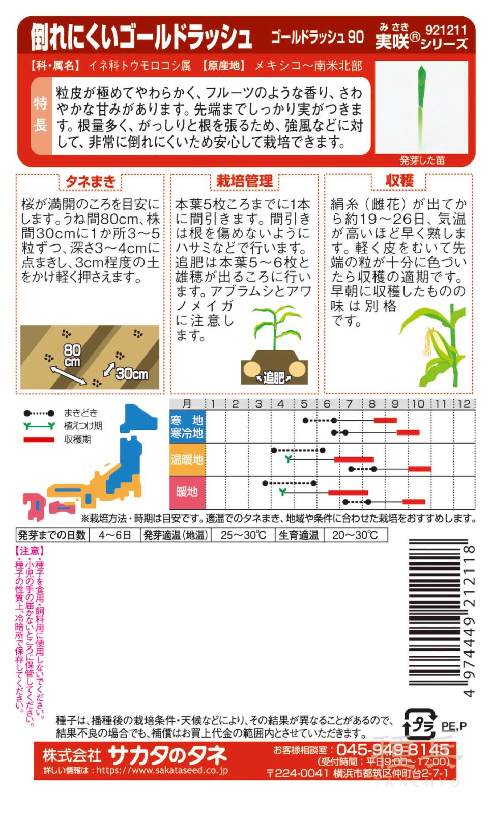 スイートコーン 種 『ゴールドラッシュ90』 サカタのタネ | たね,果菜