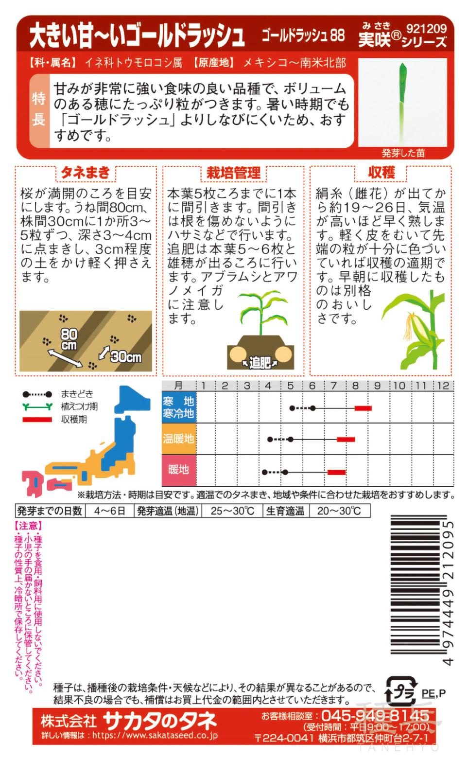ゴールドラッシュ88　スイートコーン種 スイートコーン 種 『ゴールドラッシュ88』 サカタのタネ | たね,果菜