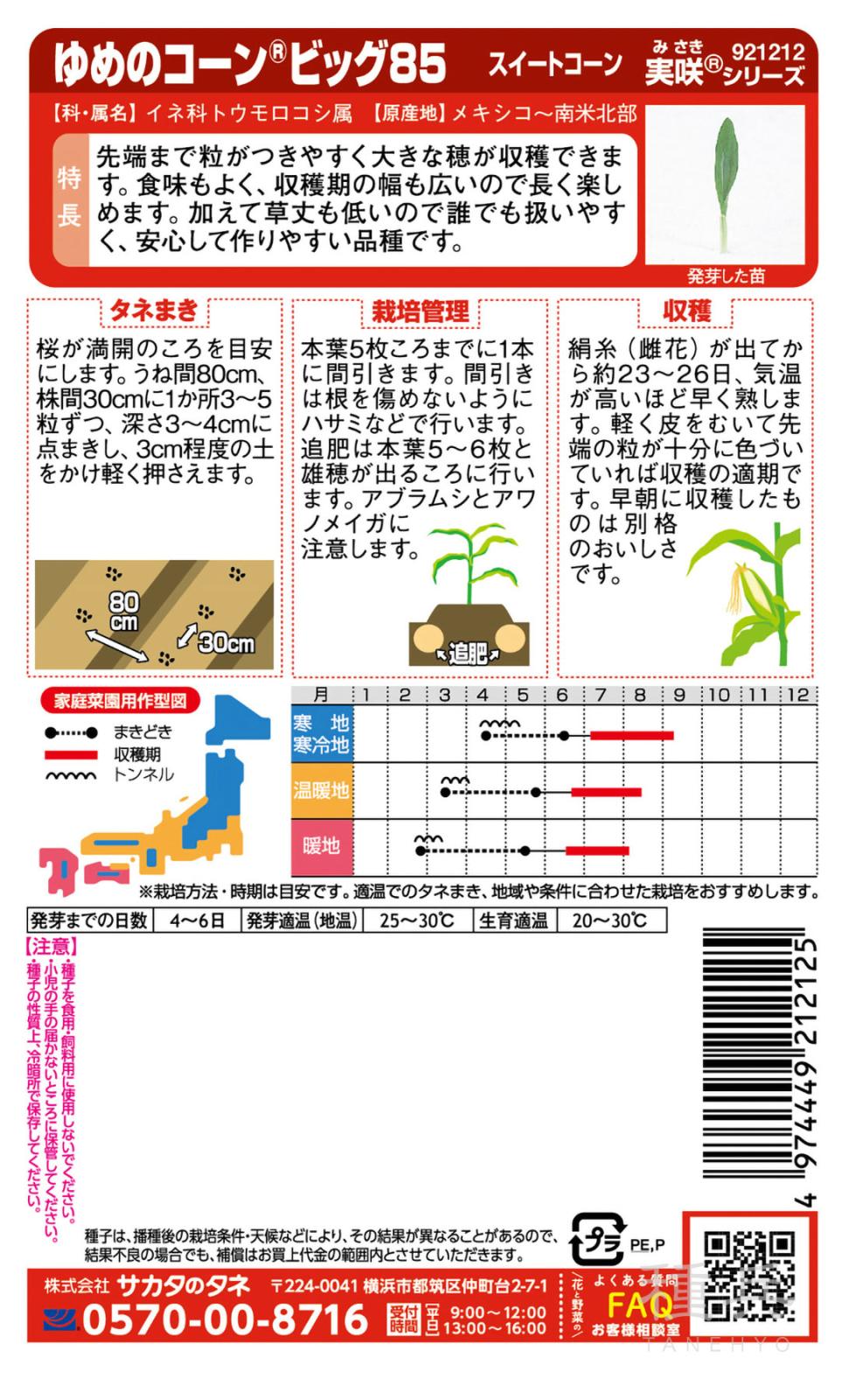 スイートコーン 種 『ゆめのコーンビッグ85』 サカタのタネ | たね