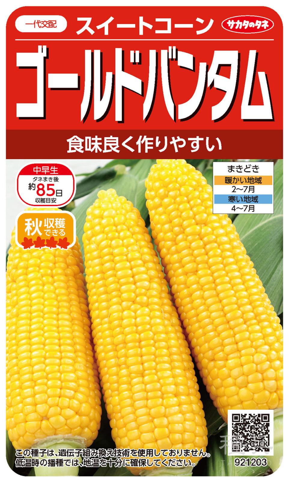 スイートコーン 種 『ゴールドバンタム』  サカタのタネ