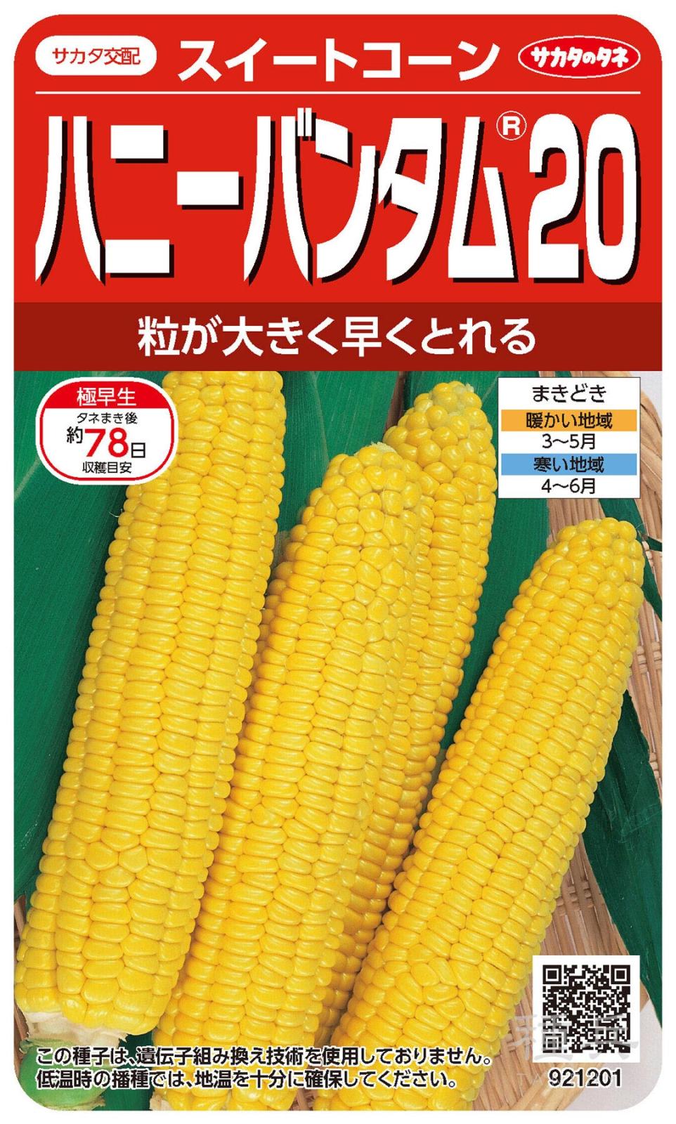 スイートコーン 種 『ハニーバンタム20』  サカタのタネ