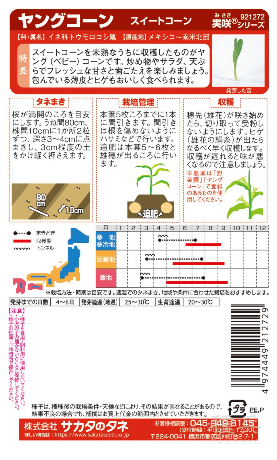 スイートコーン 種 『ヤングコーン』 サカタのタネ | たね,果菜の種,トウモロコシ,スイートコーン | 種兵ネットショッピング