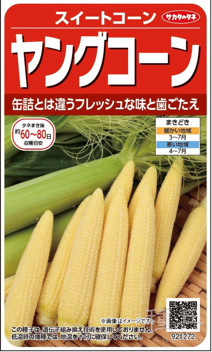 スイートコーン 種 『ヤングコーン』  サカタのタネ
