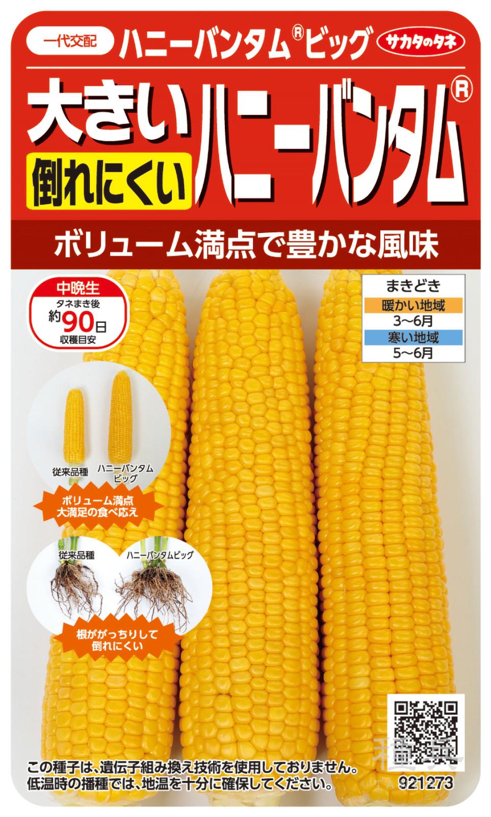 スイートコーン 種 『ハニーバンタムビッグ』  サカタのタネ