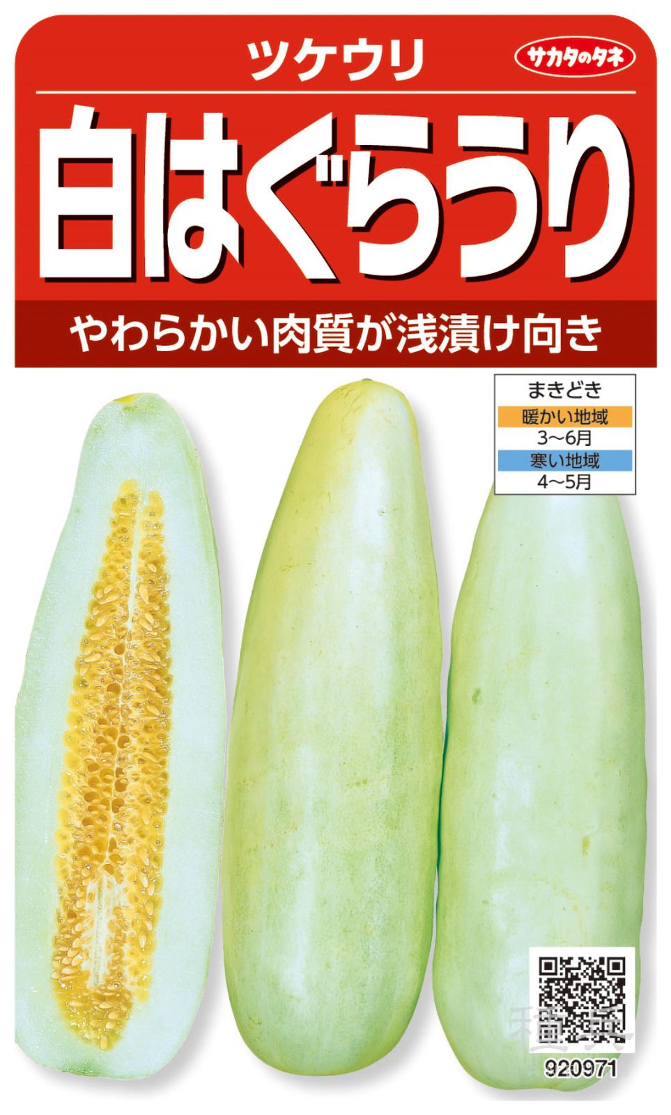 ハグラウリ 種 『白はぐらうり』  サカタのタネ