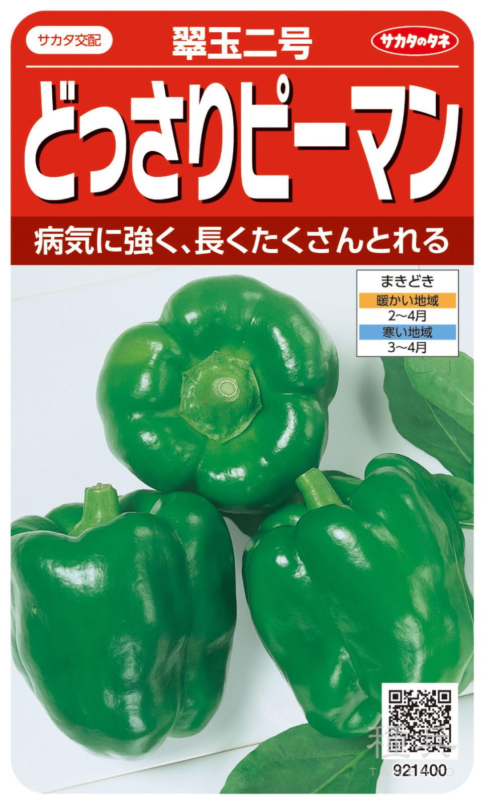 ピーマン 種 『翠玉二号』 サカタのタネ | たね,果菜の種,ピーマン