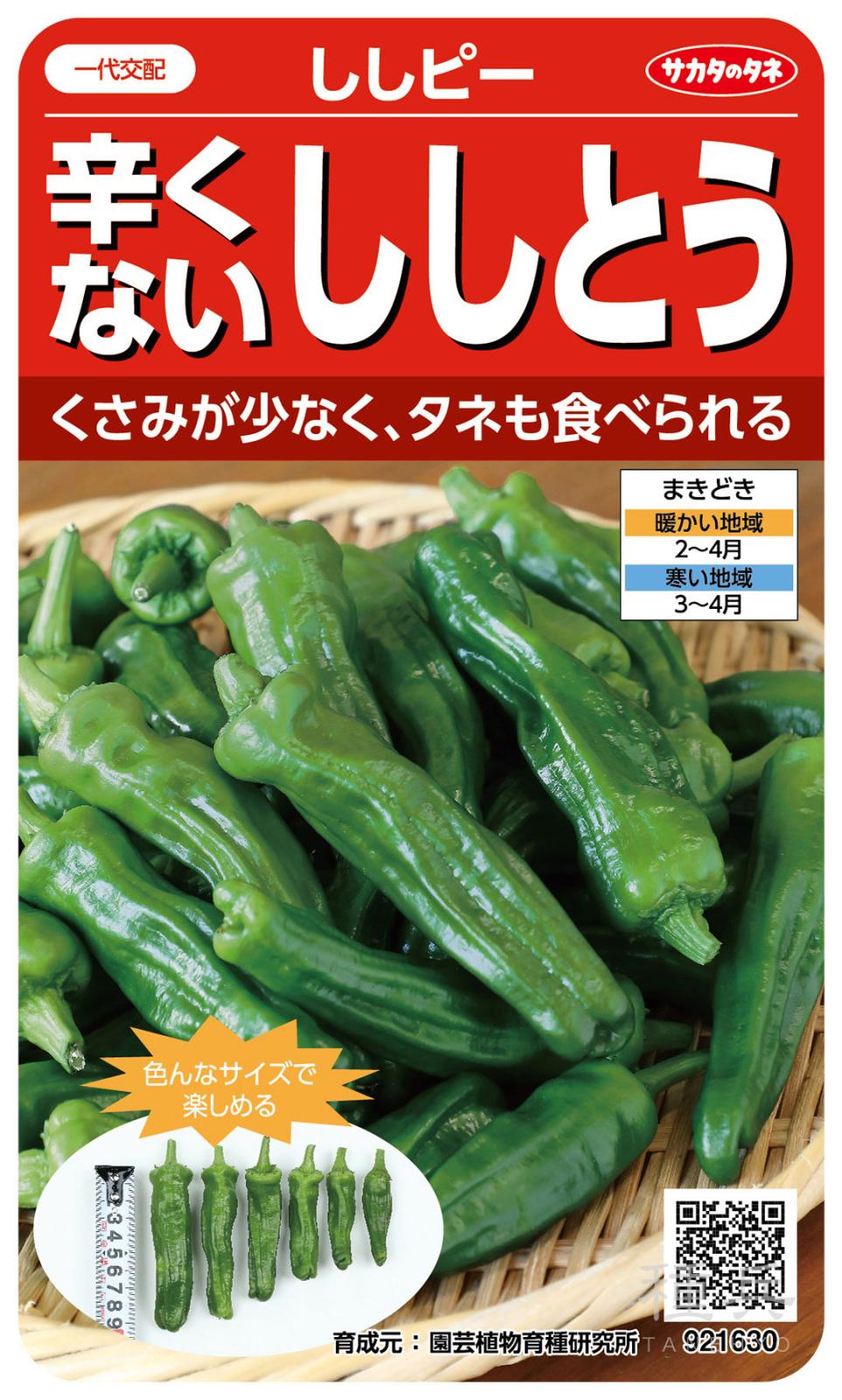 シシトウ 種 『ししピー』 サカタのタネ | たね,果菜の種,ピーマン