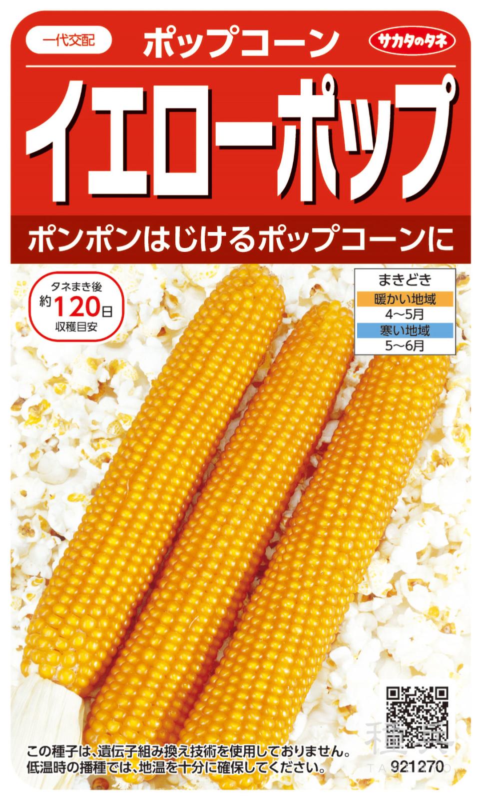 ポップコーン 種 『イエローポップ』 サカタのタネ | たね,果菜の種