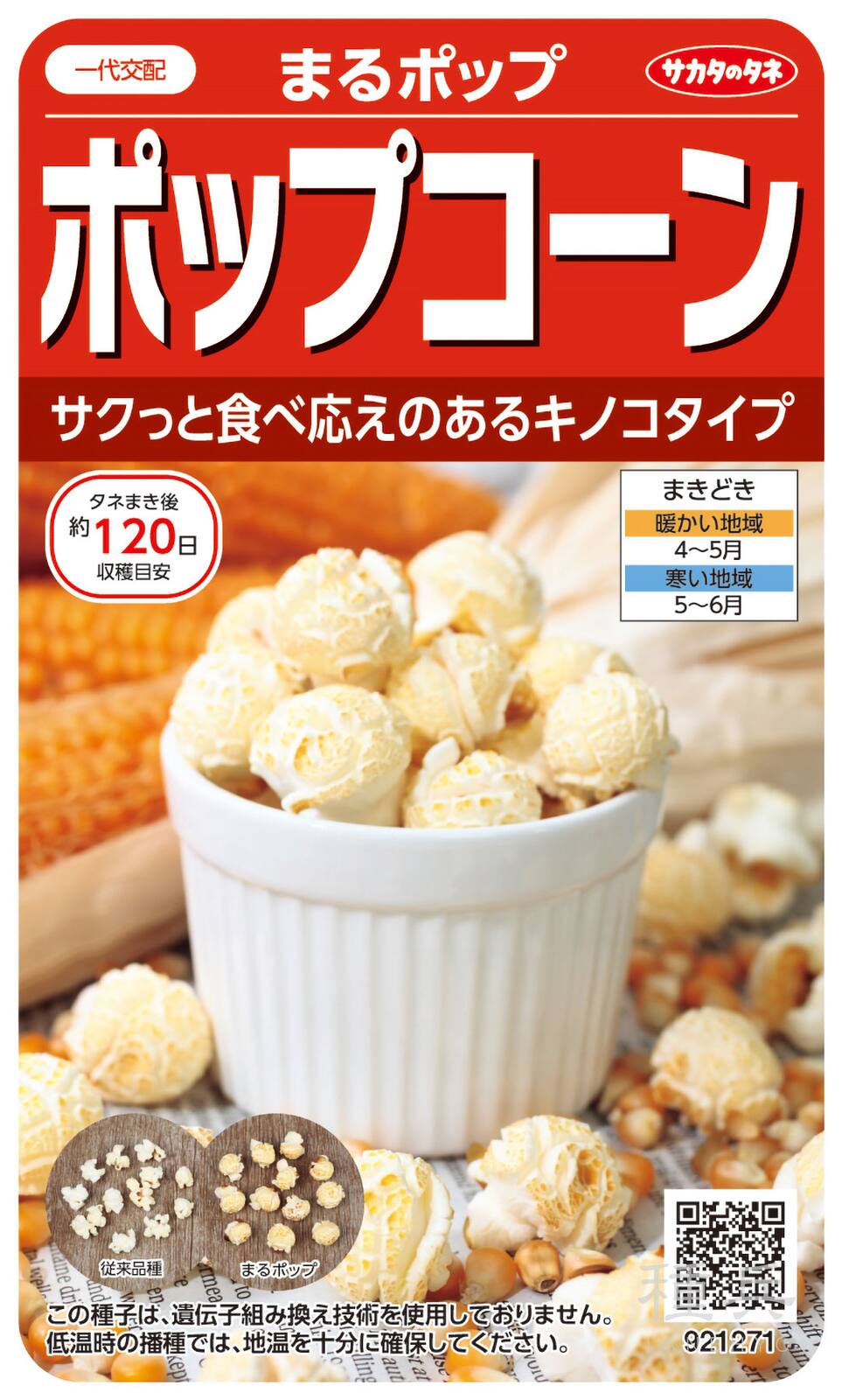 ポップコーン 種 『まるポップ』  サカタのタネ