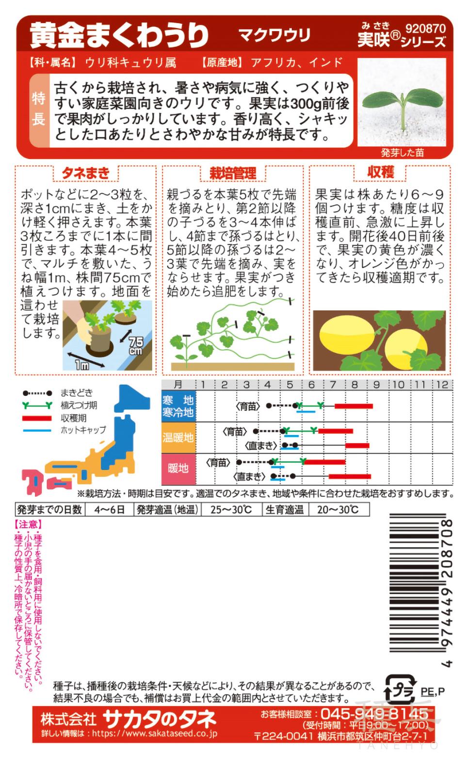 マクワウリ 種 『黄金まくわうり』 サカタのタネ | たね,果菜の種,ウリ