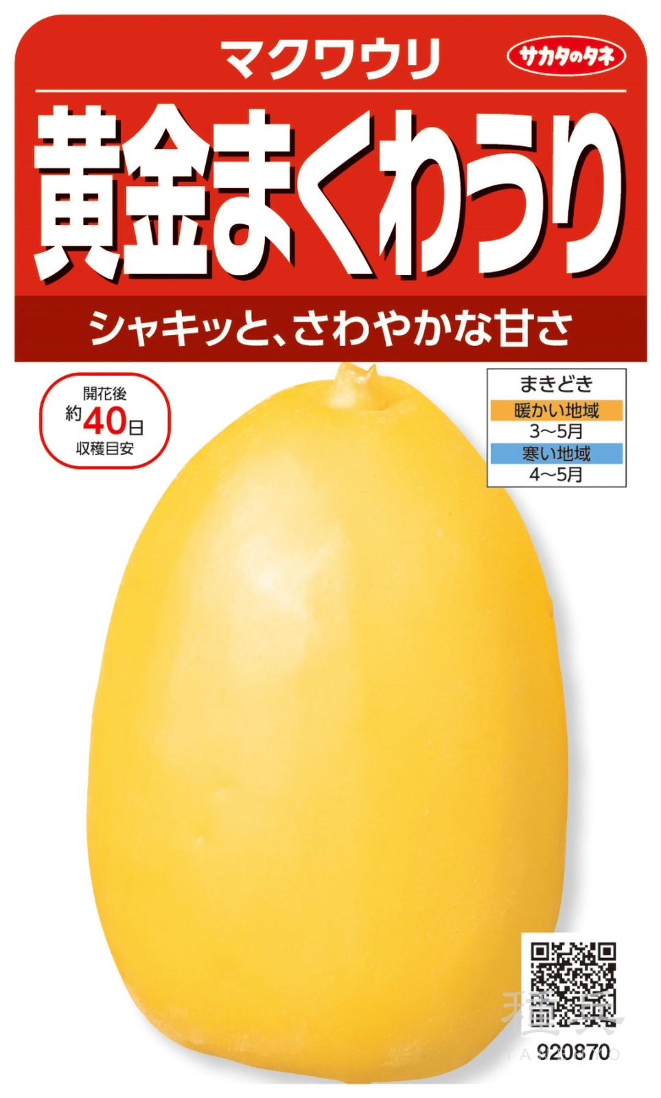 マクワウリ 種 『黄金まくわうり』  サカタのタネ