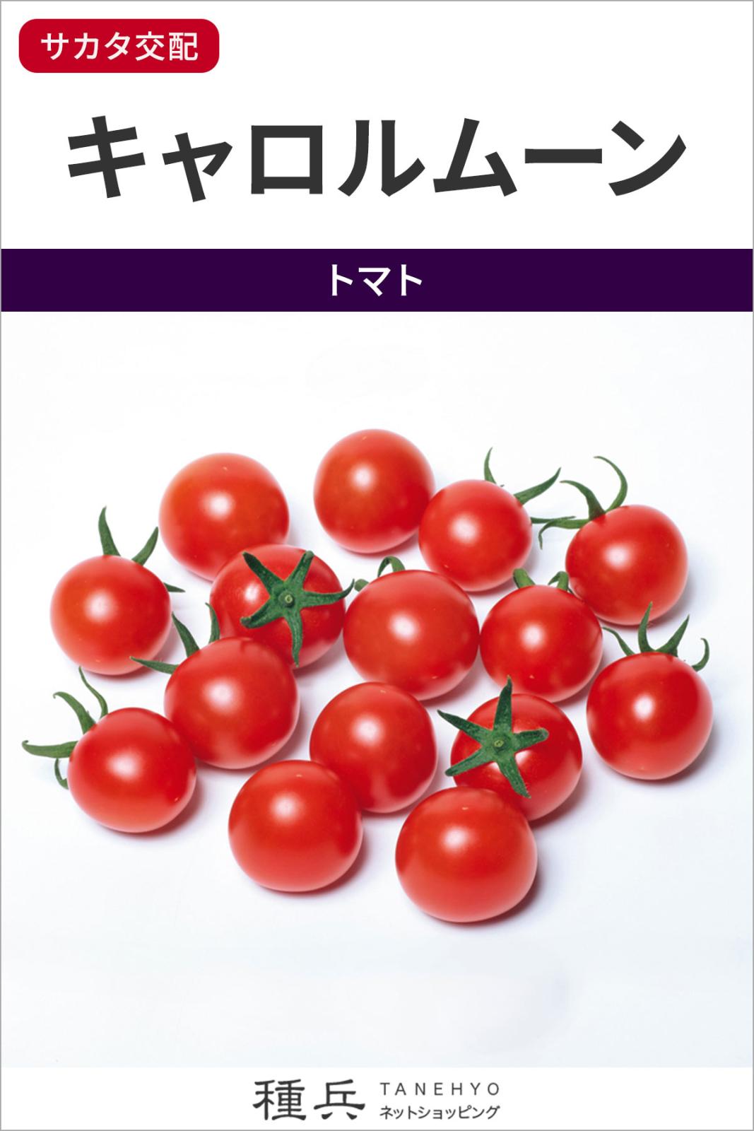 ミニトマト 種 『キャロルムーン』  サカタのタネ