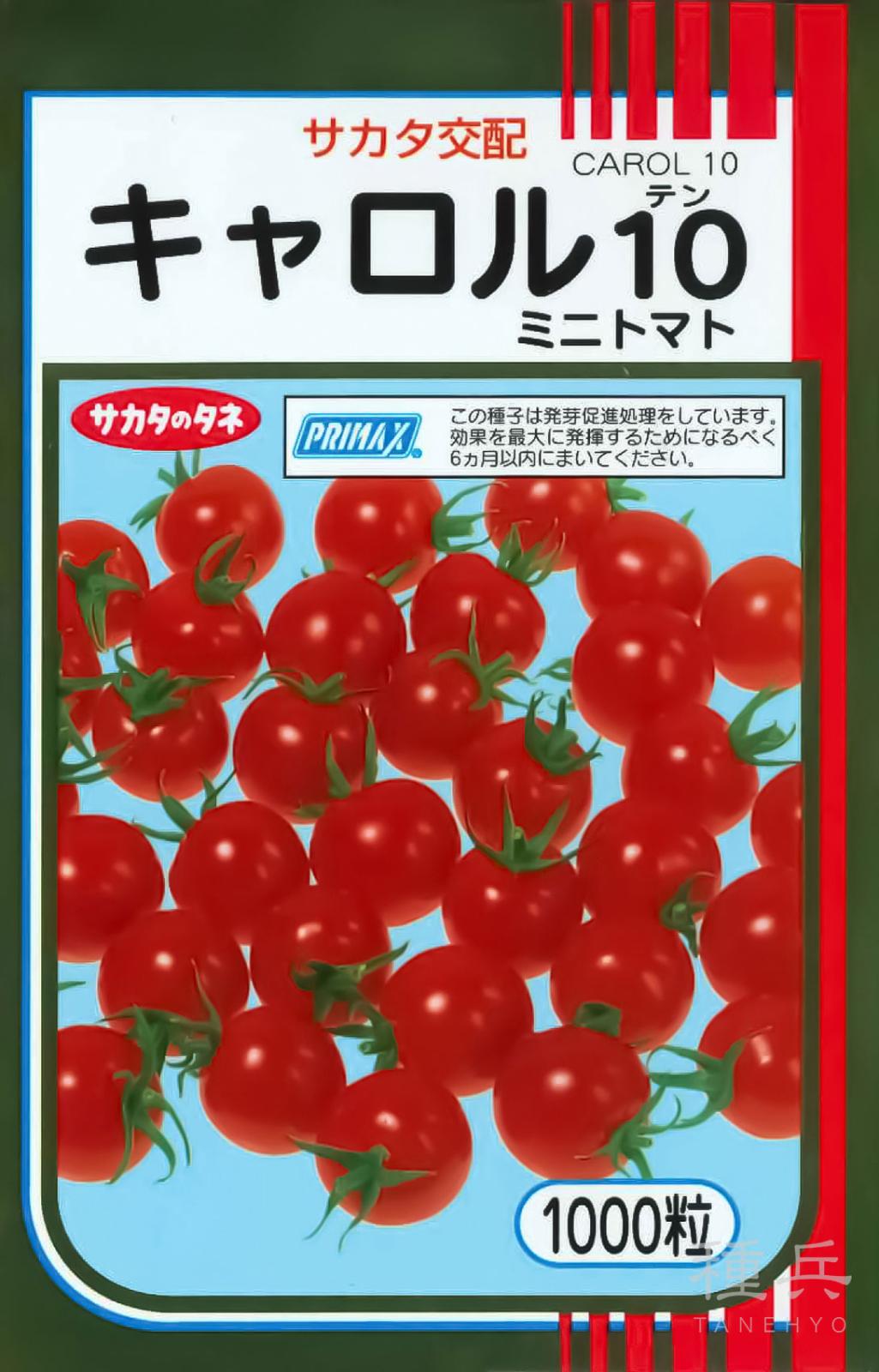 ミニトマト 種 『キャロル10』  サカタのタネ