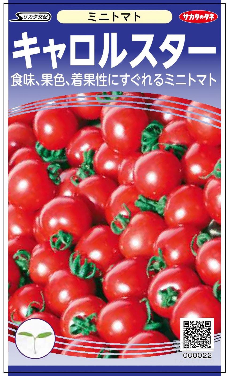 ミニトマト 種 『キャロルスター』  サカタのタネ
