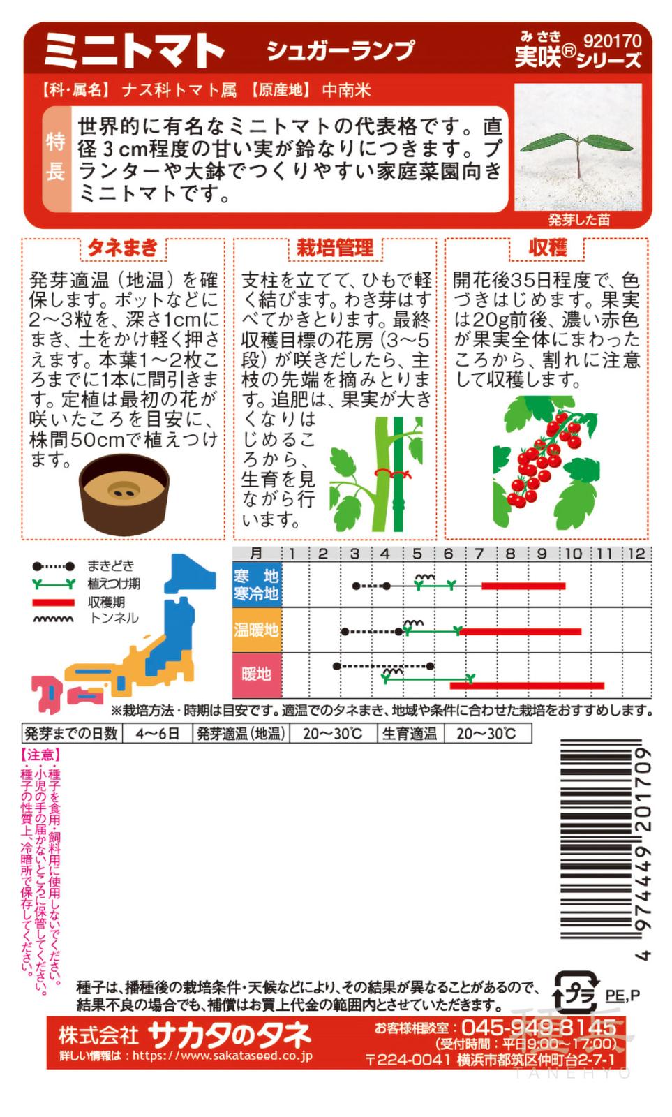 ミニトマト 種 『シュガーランプ』 サカタのタネ | たね,果菜の種