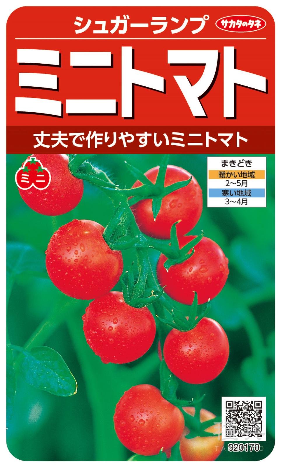 ミニトマト 種 『シュガーランプ』 サカタのタネ | たね,果菜の種