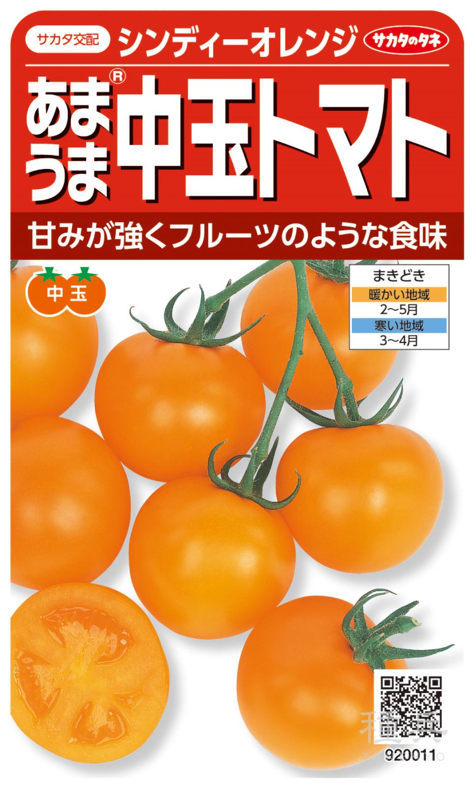 中玉トマト 種 『シンディーオレンジ』  サカタのタネ