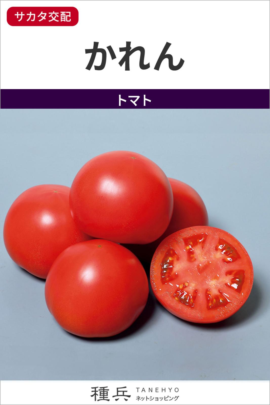 大玉トマト 種 『かれん』  サカタのタネ