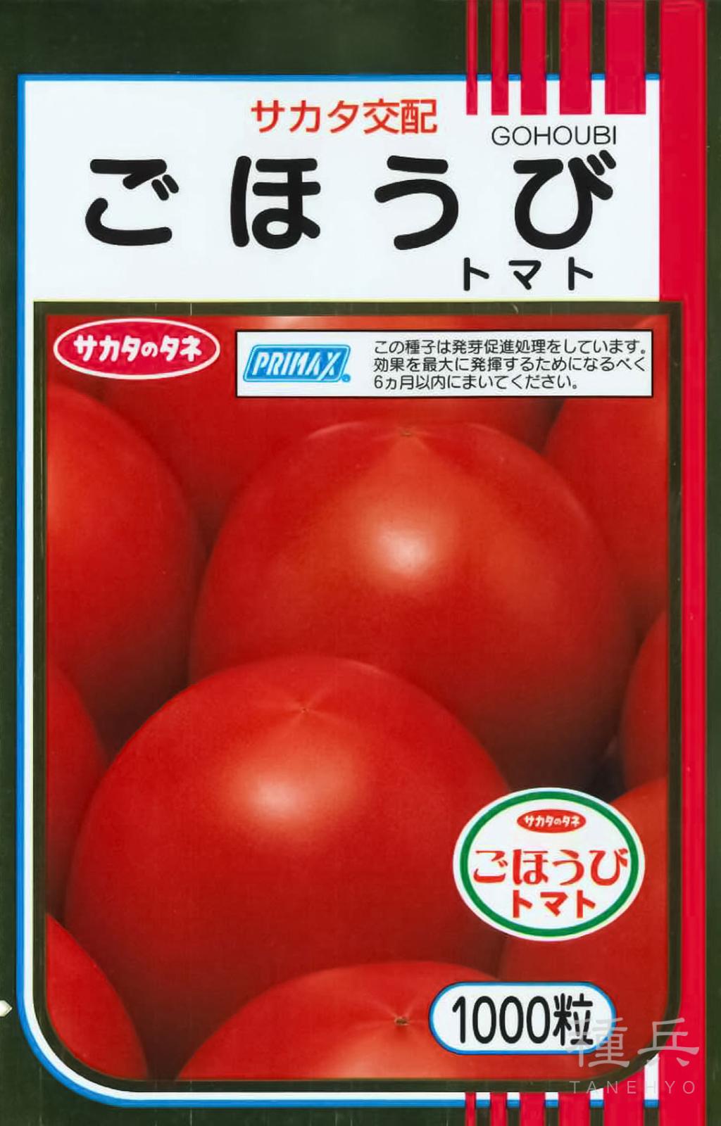 大玉トマト 種 『ごほうび』  サカタのタネ