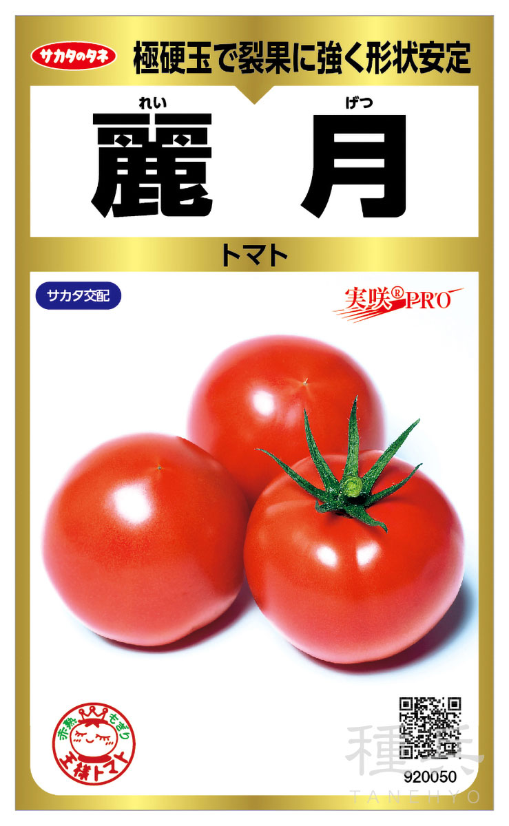 大玉トマト 種 『麗月』  サカタのタネ