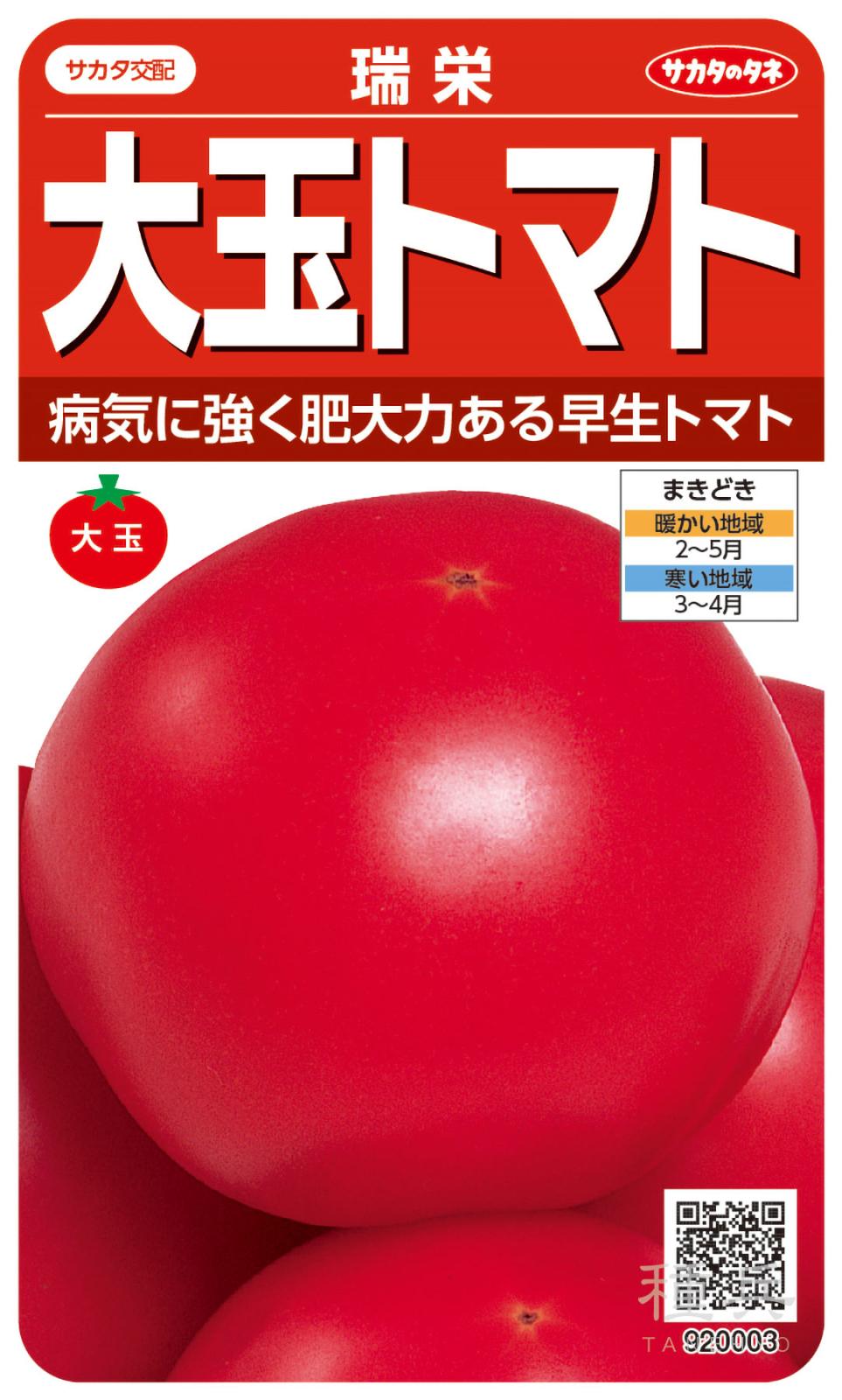 大玉トマト 種 『瑞栄』  サカタのタネ