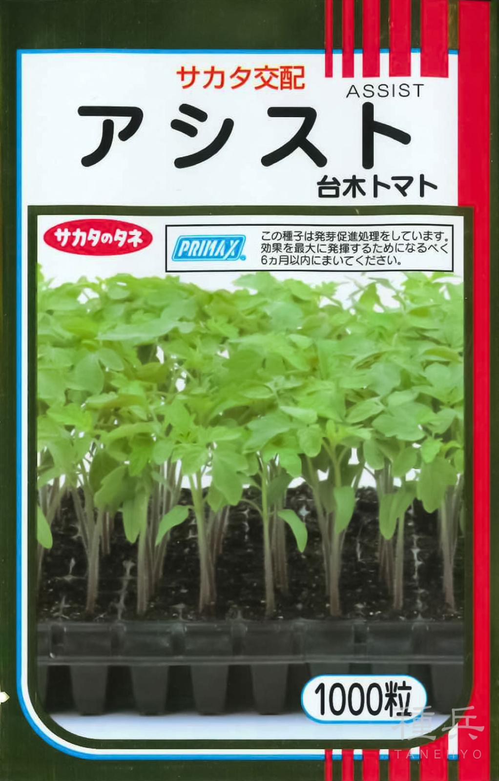台木用トマト 種 『アシスト』  サカタのタネ
