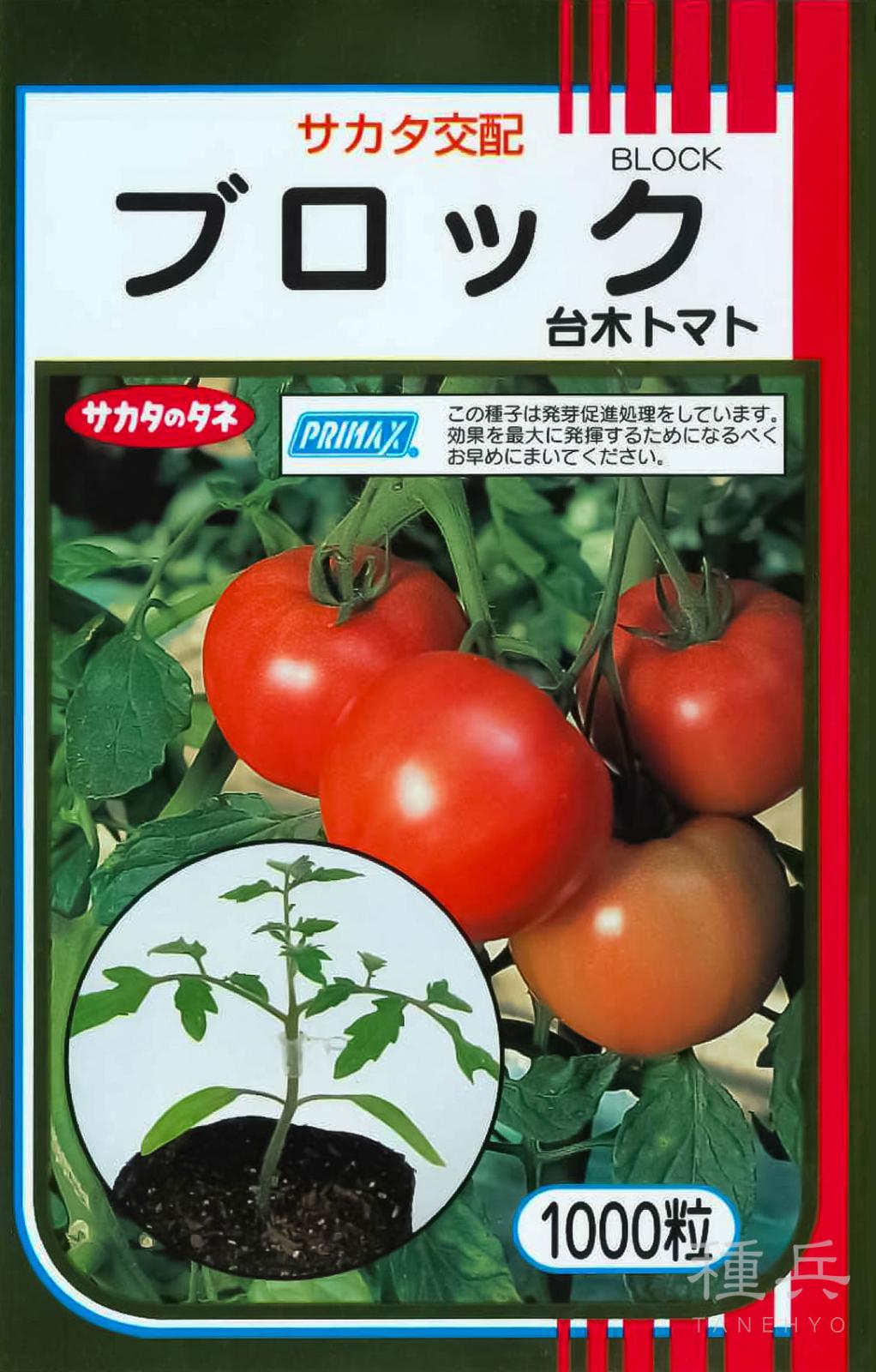 台木用トマト 種 『ブロック』  サカタのタネ