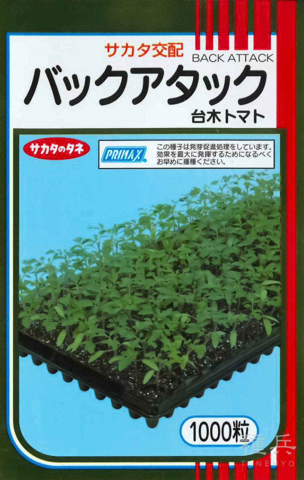 台木用トマト 種 『バックアタック』  サカタのタネ