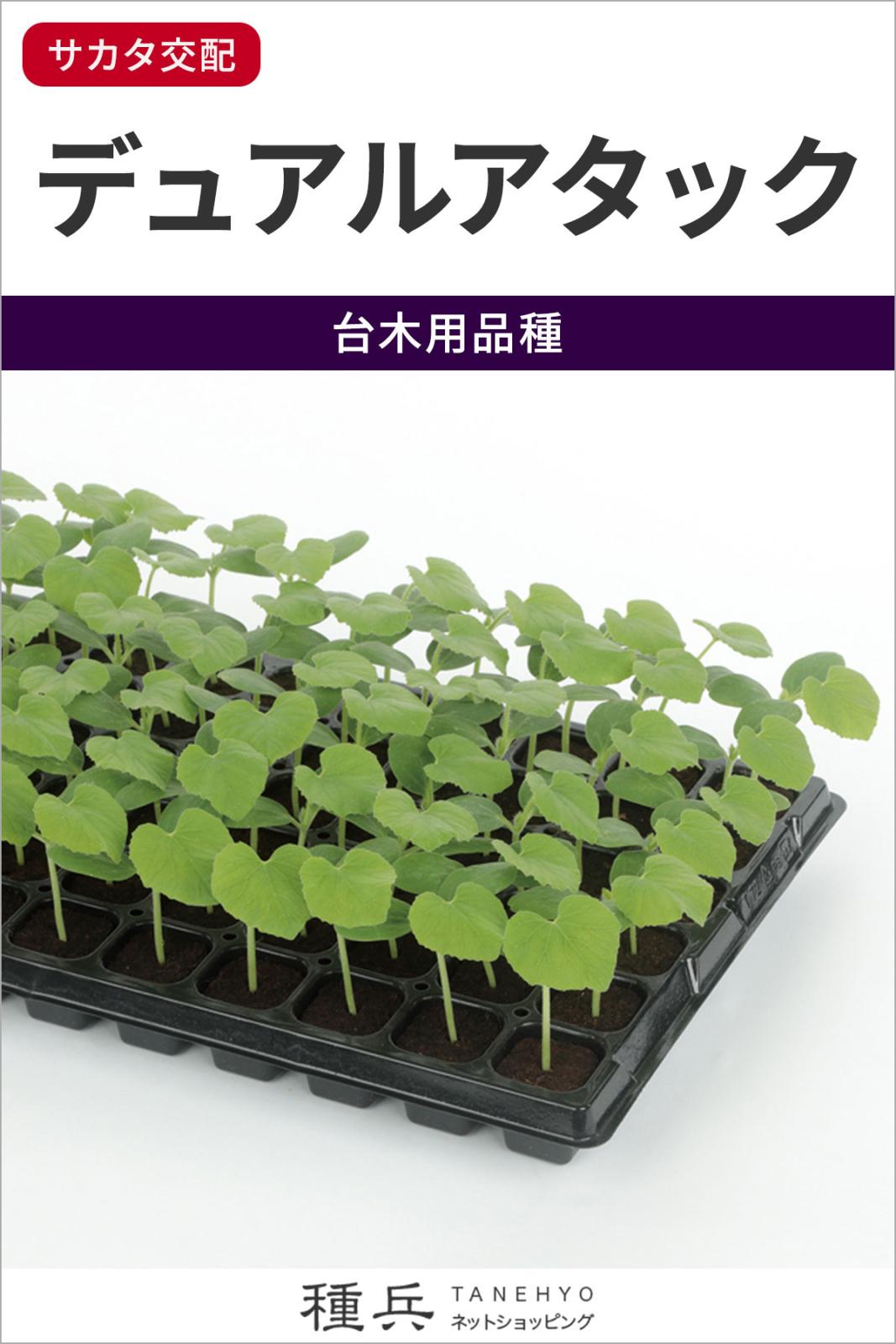 台木メロン 種 『デュアルアタック』  サカタのタネ