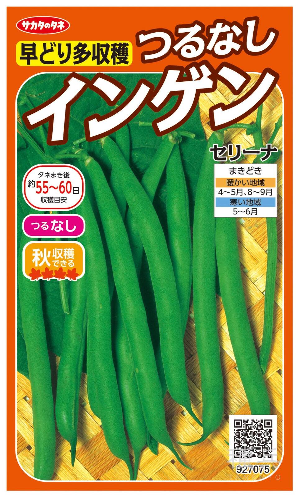 つるなしインゲン 種 『セリーナ』  サカタのタネ