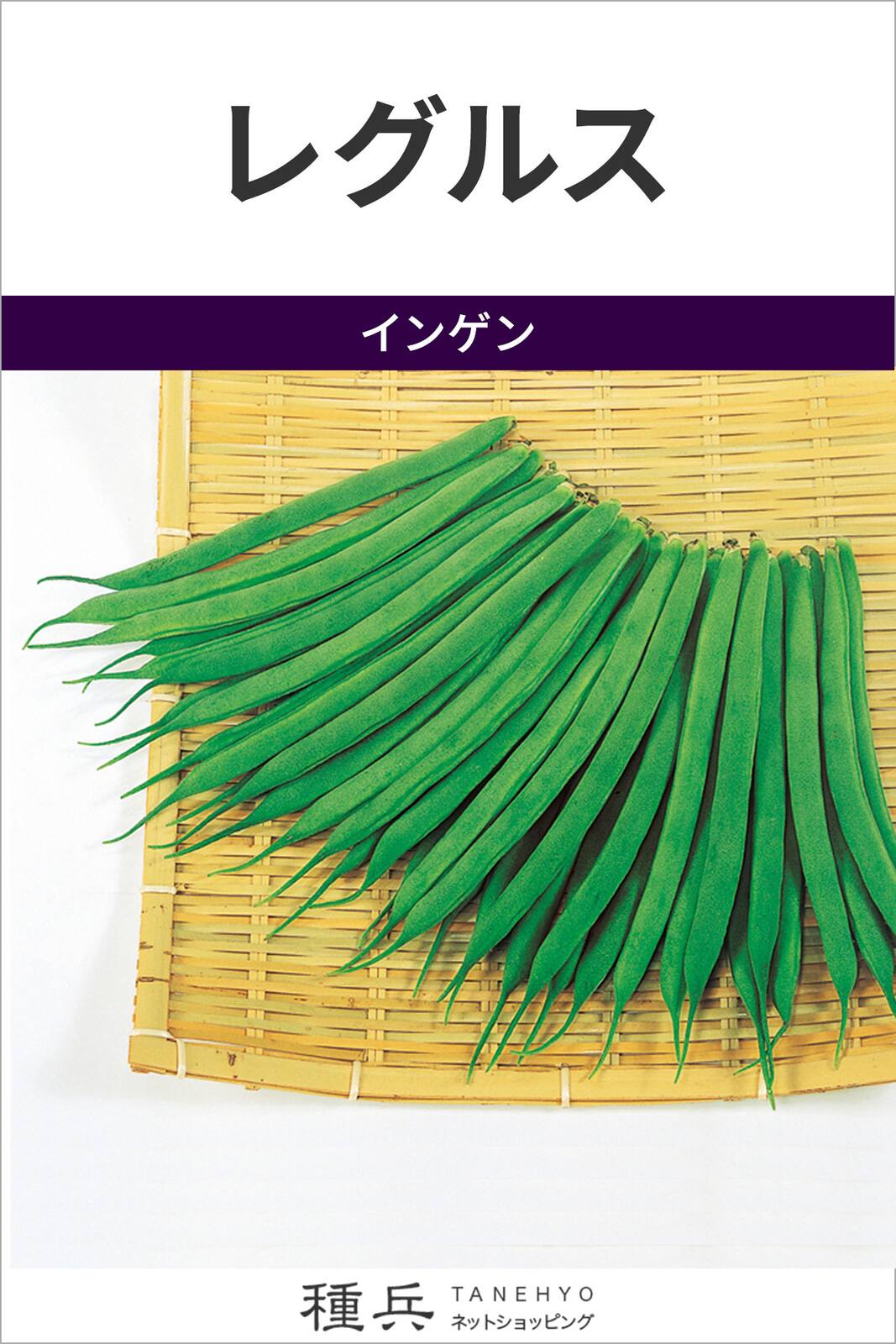 つるなしインゲン 種 『レグルス』  サカタのタネ