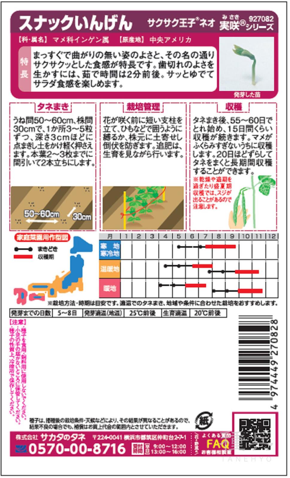 つるなしインゲン 種 『サクサク王子・ネオ』 サカタのタネ | たね