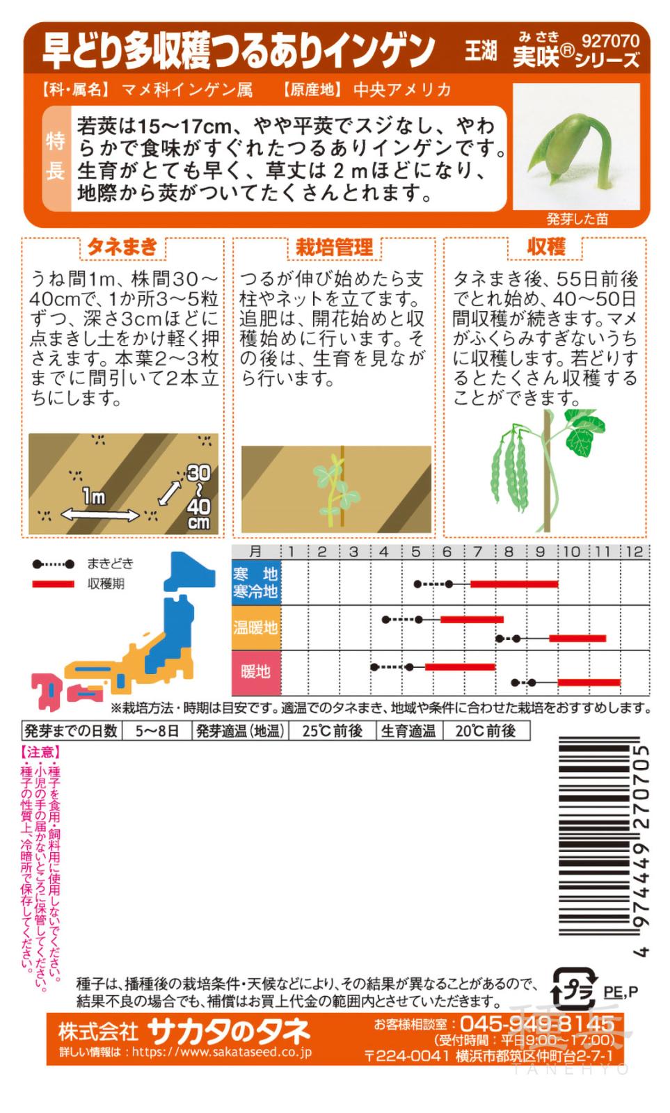 つるありインゲン 種 『王湖』 サカタのタネ | たね,果菜の種,インゲン