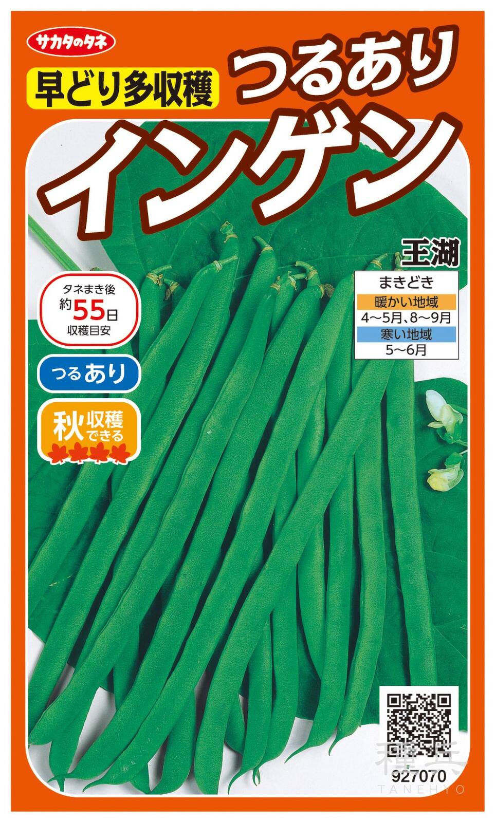つるなしインゲン 種 『王湖』  サカタのタネ