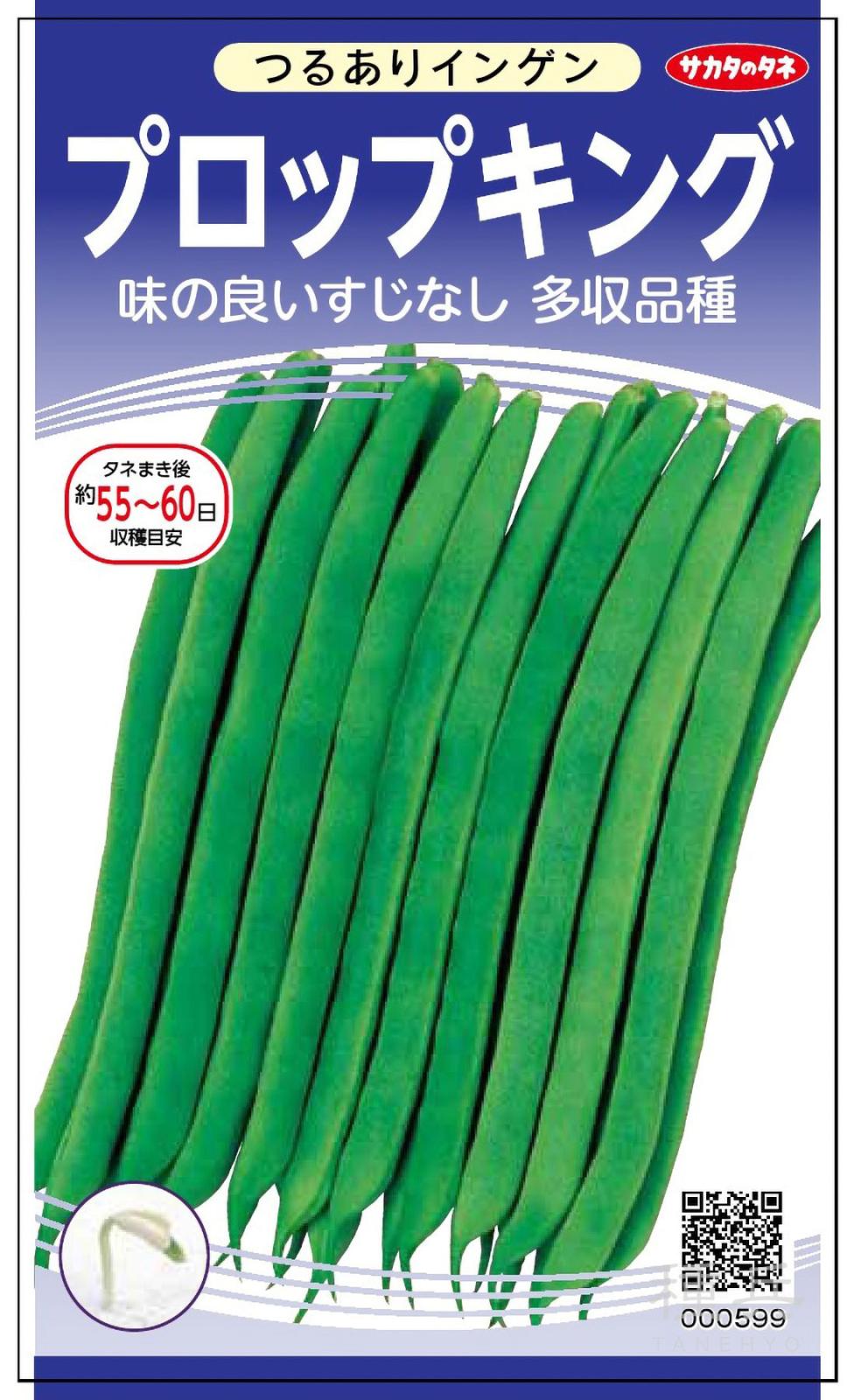 つるなしインゲン 種 『プロップキング』  サカタのタネ