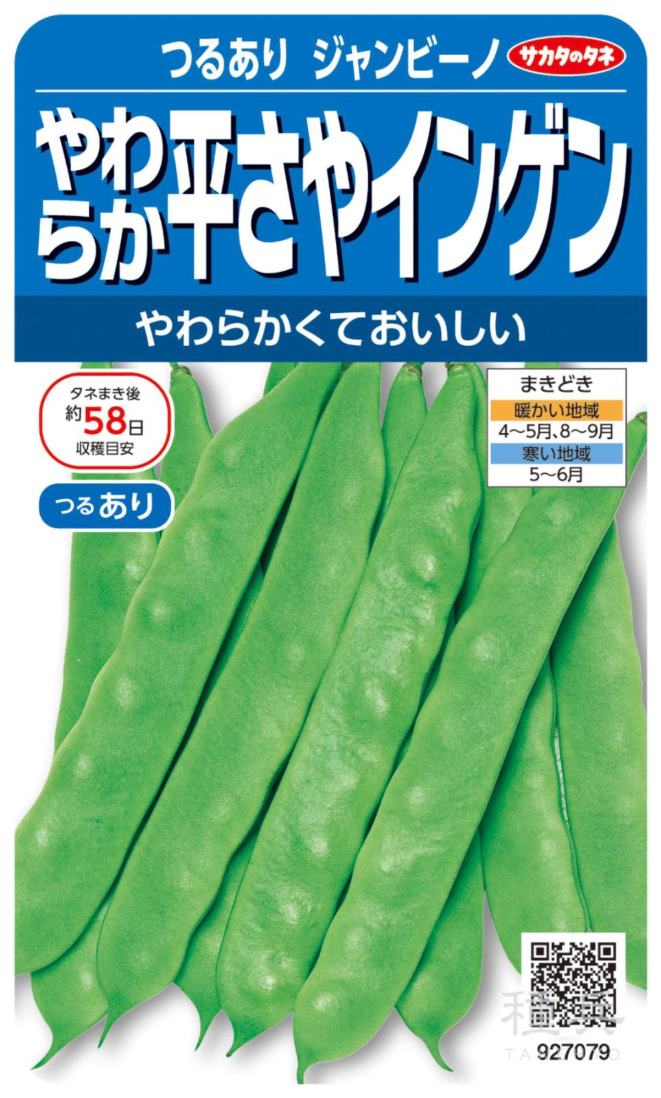つるありインゲン 種 『ジャンビーノ（つる有り）』  サカタのタネ