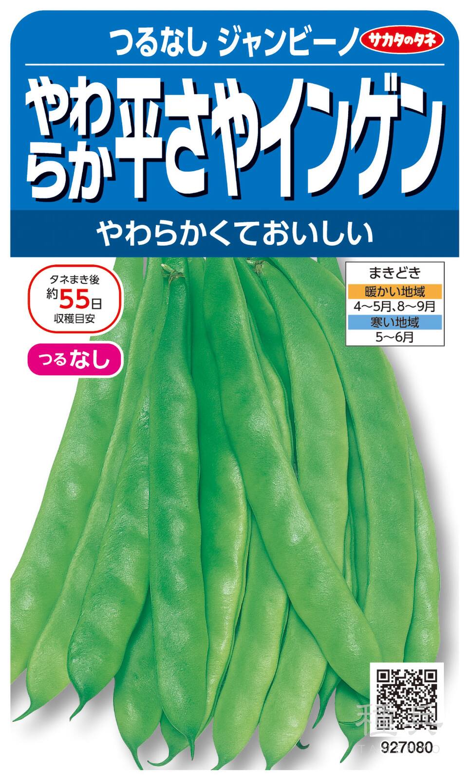つるなしインゲン 種 『ジャンビーノ（つる無し）』  サカタのタネ