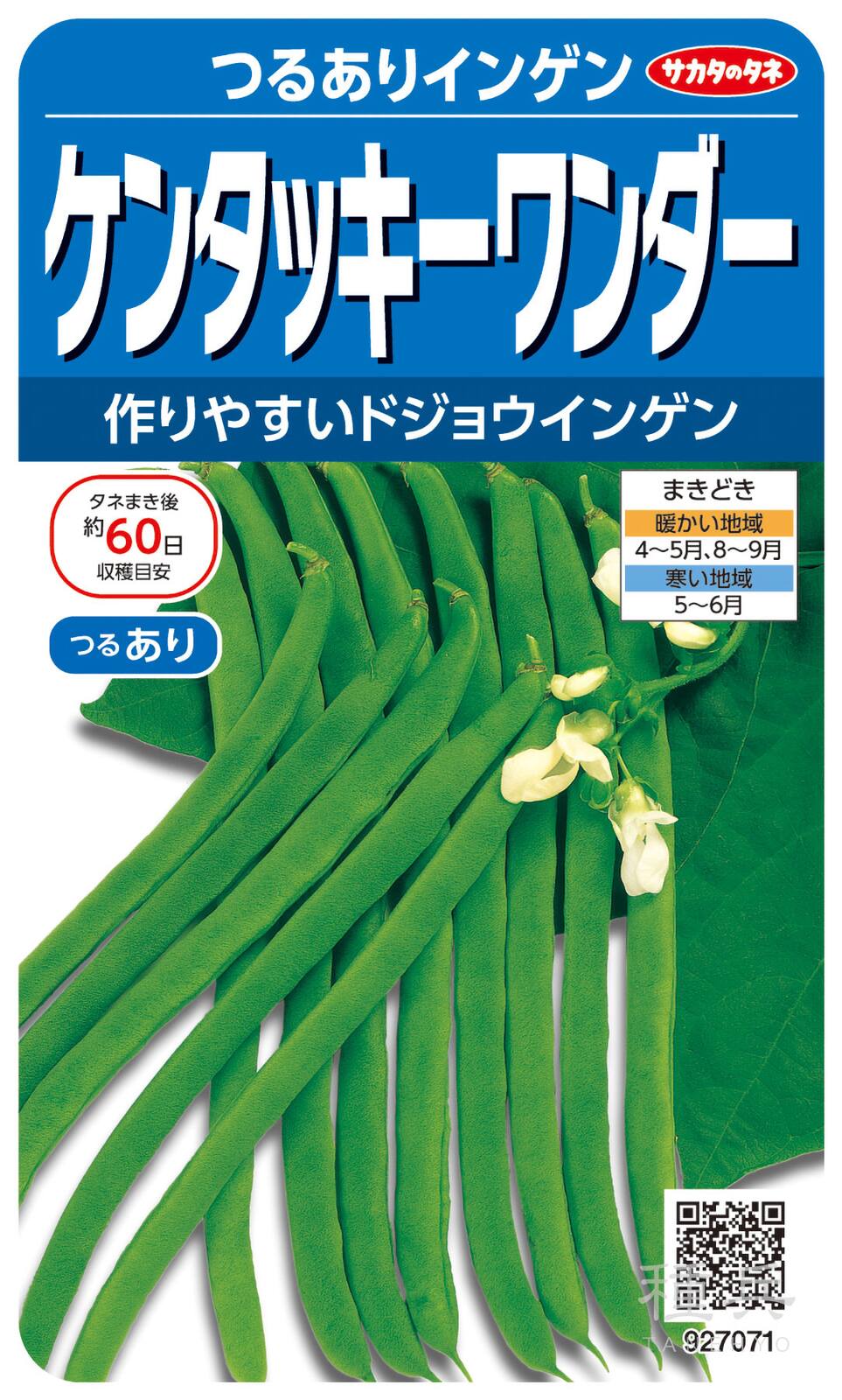 つるありインゲン 種 『ケンタッキーワンダー』  サカタのタネ