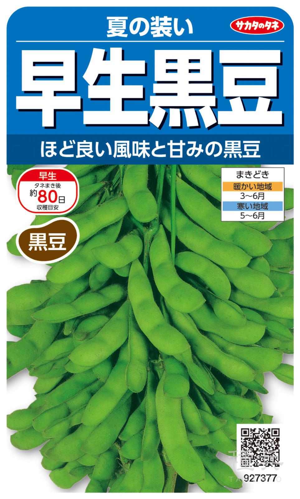 黒豆エダマメ 種 『夏の装い』  サカタのタネ